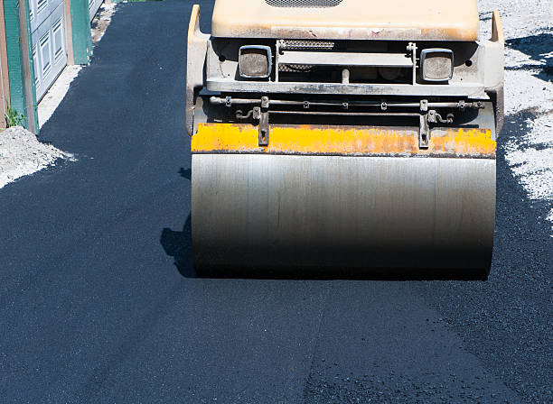 Best Driveway Border and Edging  in Plain City, UT